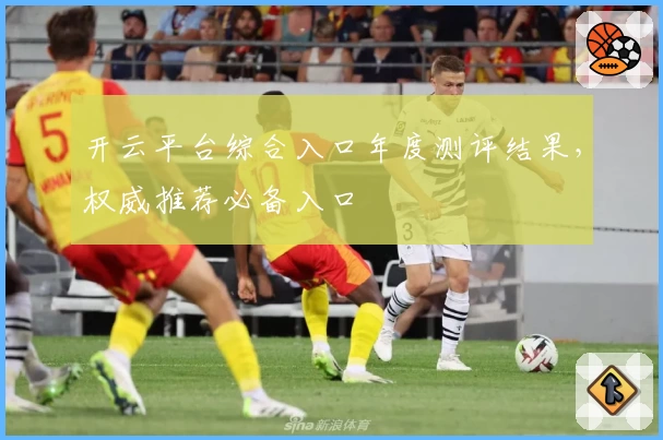 开云平台综合入口年度测评结果，权威推荐必备入口