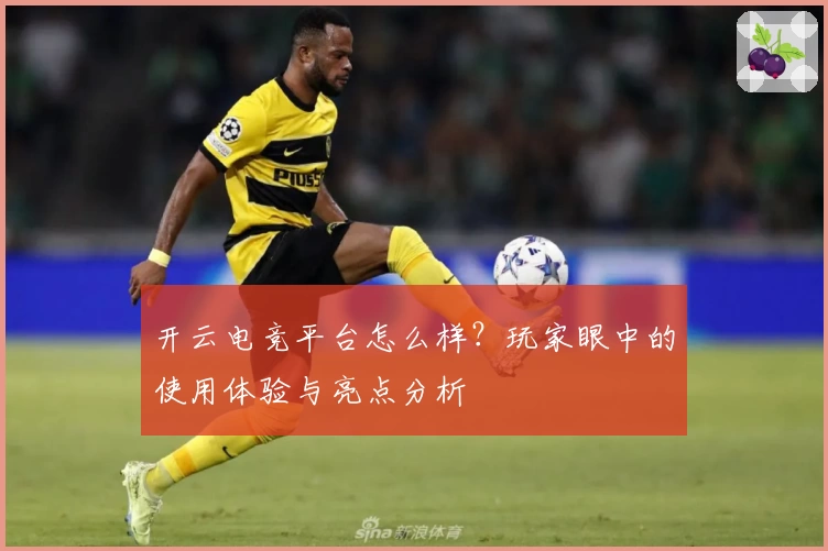 开云电竞平台怎么样?玩家眼中的使用体验与亮点分析