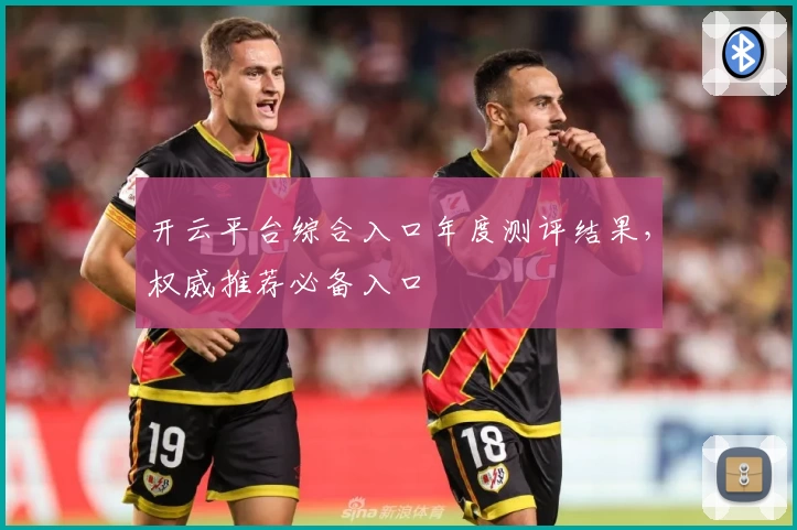 开云平台综合入口年度测评结果，权威推荐必备入口